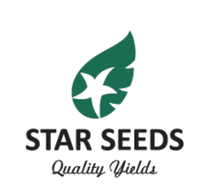 Star Seeds logo